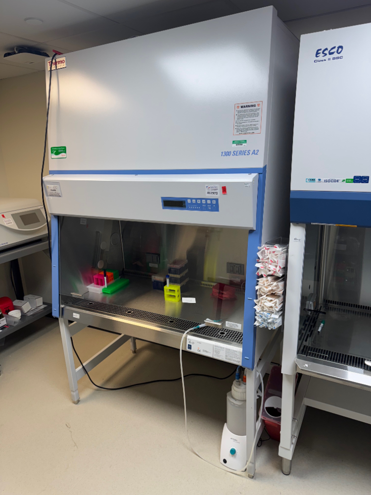 Image of Thermo 1300 Series A2 4' BioSafety Cabinet